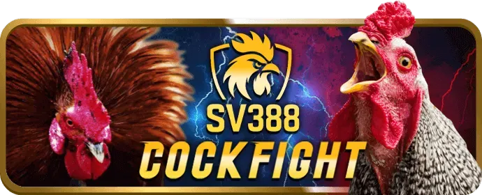 Biểu đồ các loại Cookie được sử dụng bởi vn666 link mới để đảm bảo bảo mật dữ liệu và trải nghiệm người dùng tối ưu